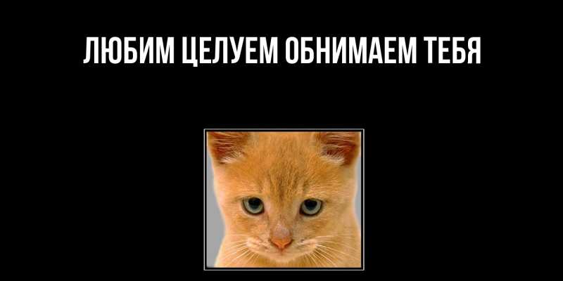 Картинка Не обижайся, Грациозная моя