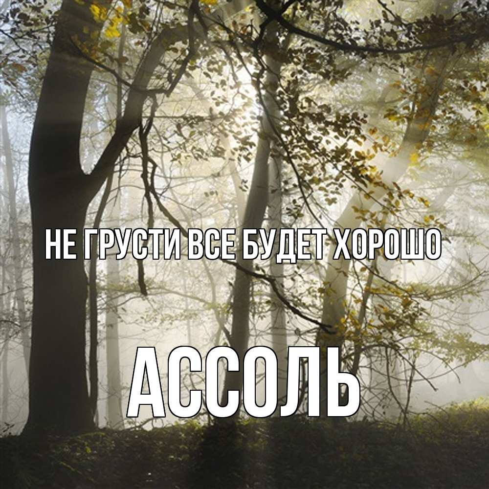 Открытка на каждый день с именем, Ассоль Не грусти все будет хорошо лес и свет Прикольная открытка с пожеланием онлайн скачать бесплатно 