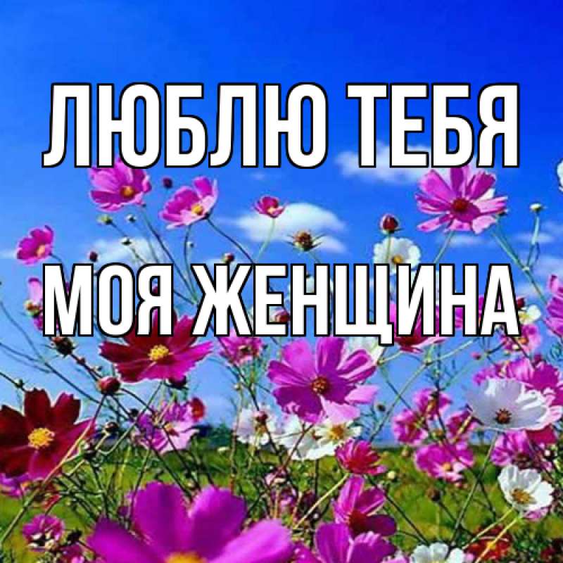 Картинка Люблю тебя, Моя женщина