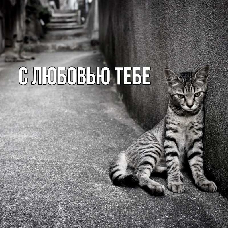 Картинка Скучашки, Стёпа