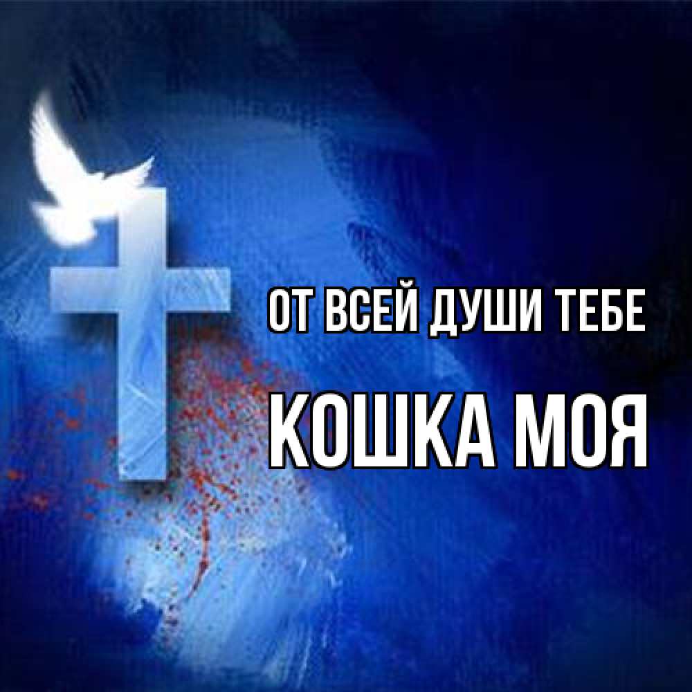 Открытка на каждый день с именем, Кошка-моя От всей души тебе Синий фон и птица Прикольная открытка с пожеланием онлайн скачать бесплатно 