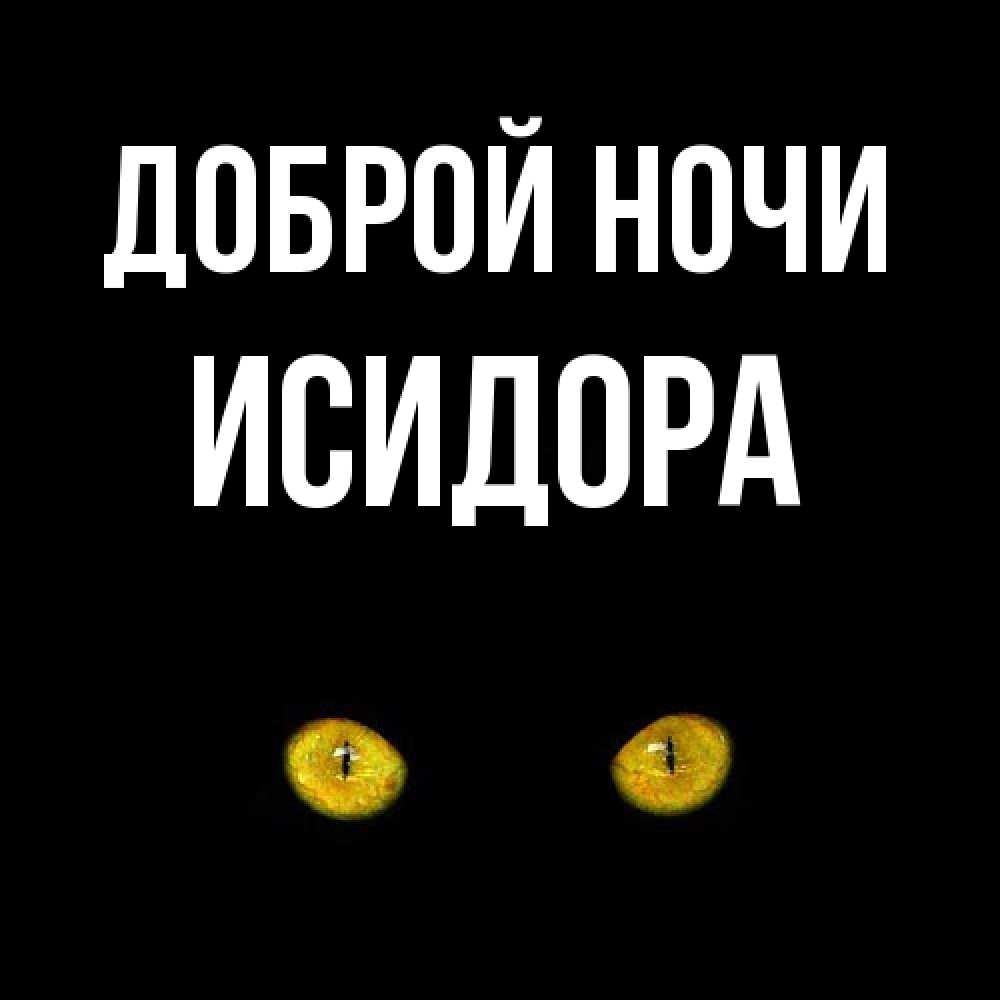 Открытка на каждый день с именем, Исидора Доброй ночи сладких снов бесстрашный мой дружочек Прикольная открытка с пожеланием онлайн скачать бесплатно 