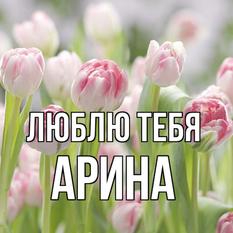 Картинка Люблю тебя, Арина