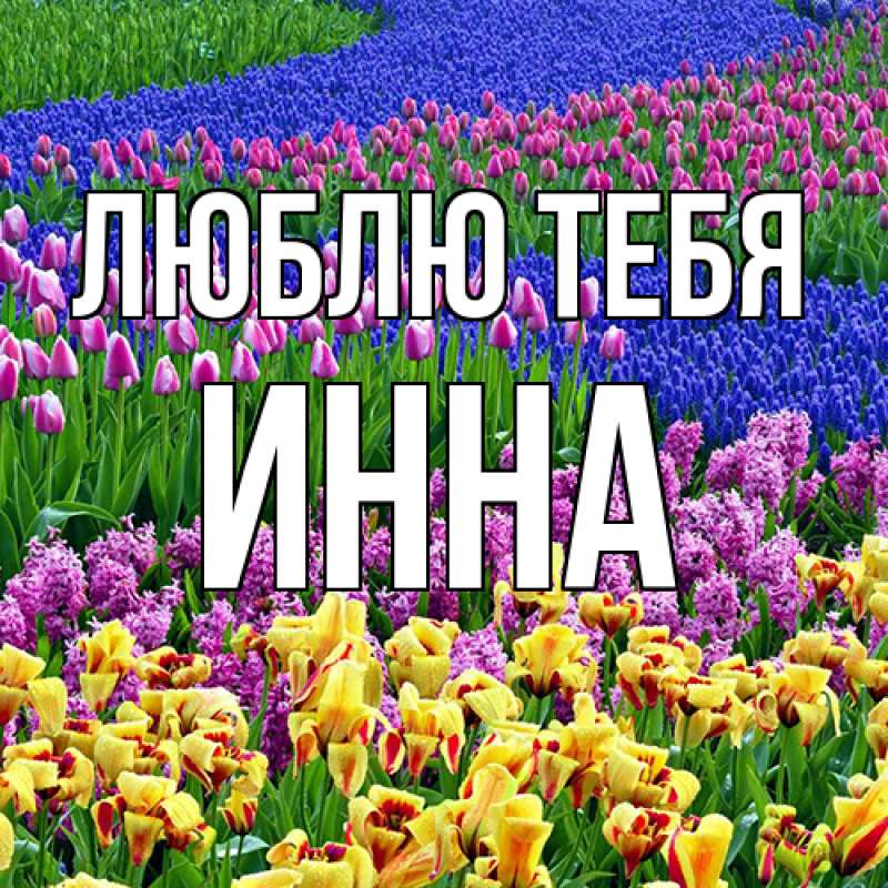 Картинка Люблю тебя, Инна