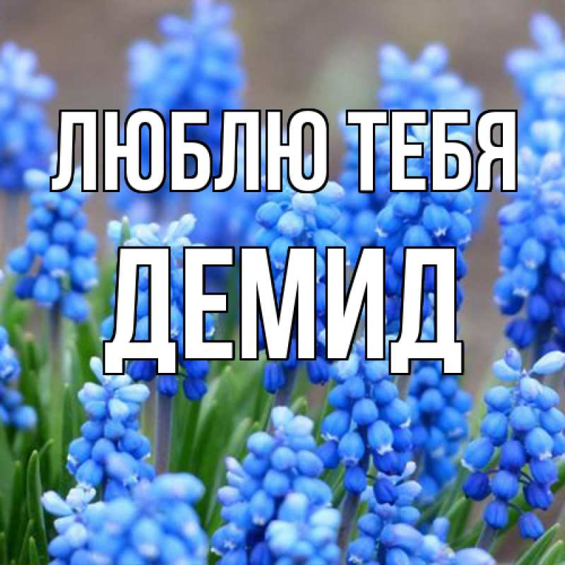 Картинка Люблю тебя, Демид