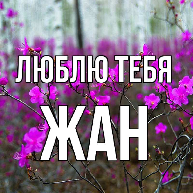 Картинка Люблю тебя, Жан