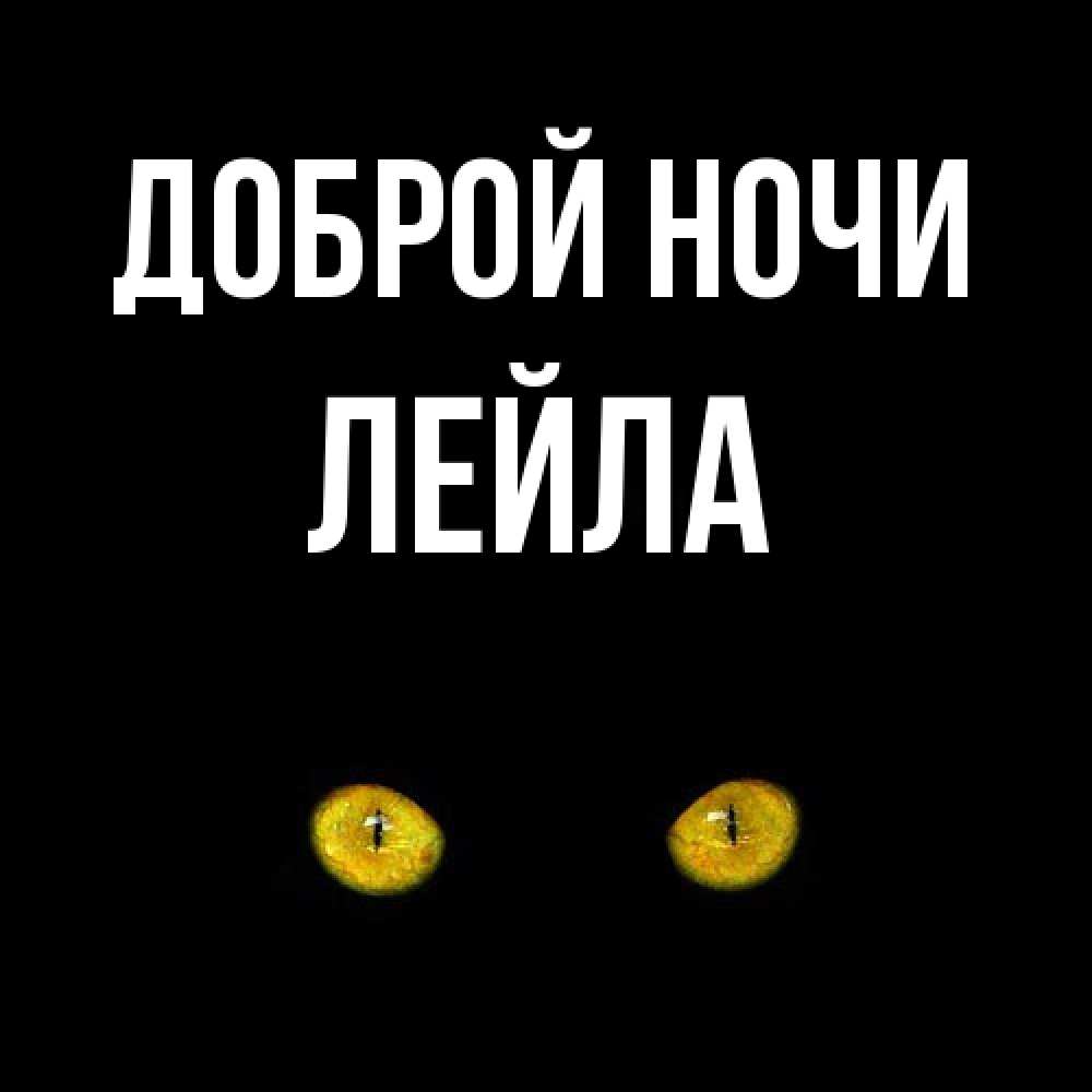 Открытка на каждый день с именем, Лейла Доброй ночи сладких снов бесстрашный мой дружочек Прикольная открытка с пожеланием онлайн скачать бесплатно 