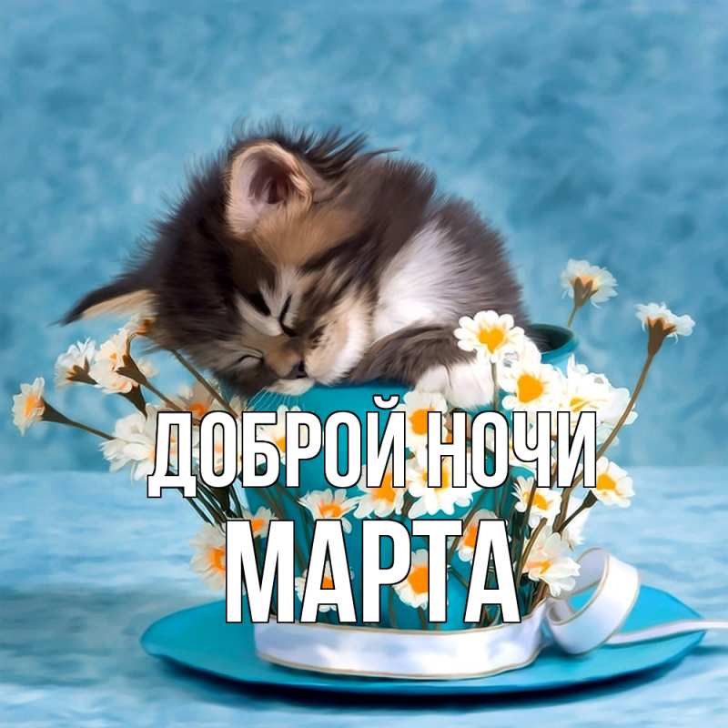 Картинка Доброй ночи, Марта