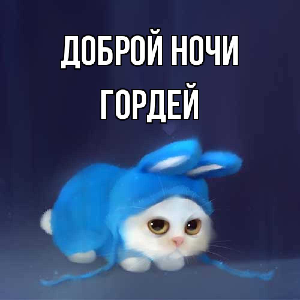 Открытка на каждый день с именем, Гордей Доброй ночи кот в голубом костюме кролика с ушками Прикольная открытка с пожеланием онлайн скачать бесплатно 