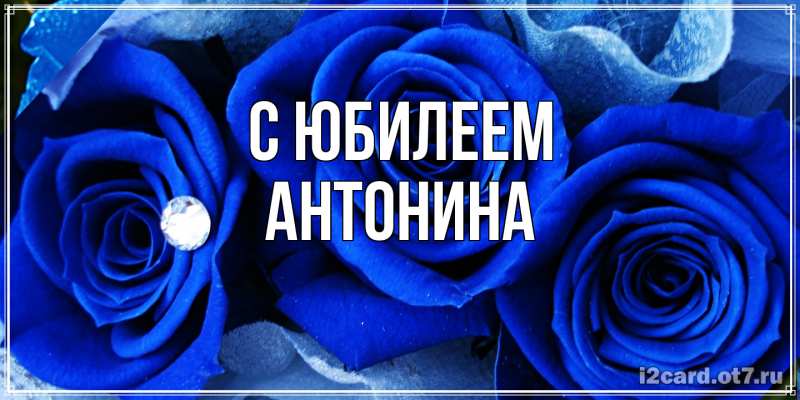 Картинка C юбилеем, Антонина