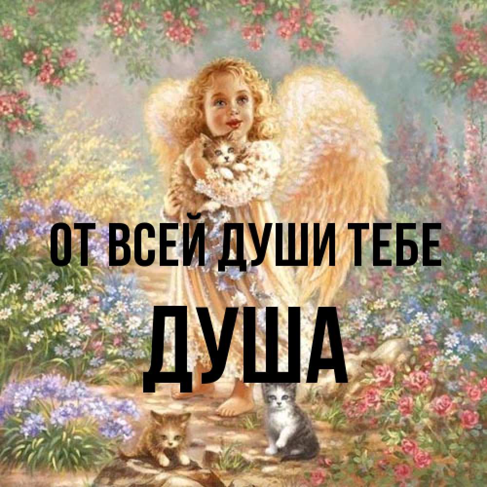 Открытка на каждый день с именем, Душа От всей души тебе держит котенка Прикольная открытка с пожеланием онлайн скачать бесплатно 