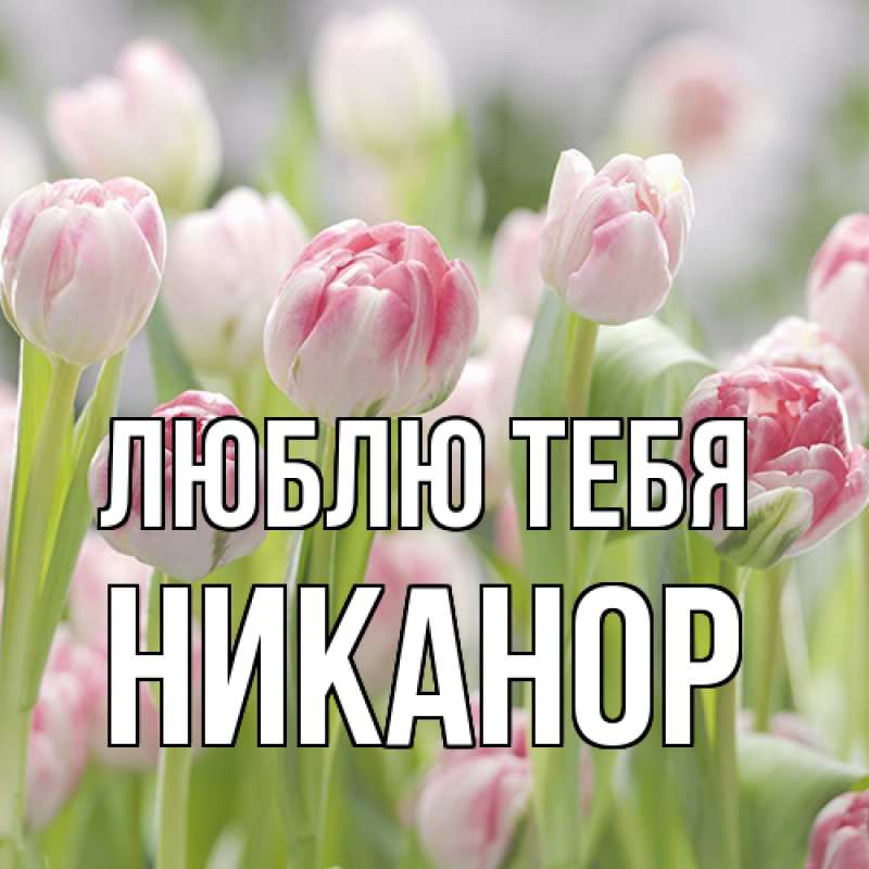 Картинка Люблю тебя, Никанор