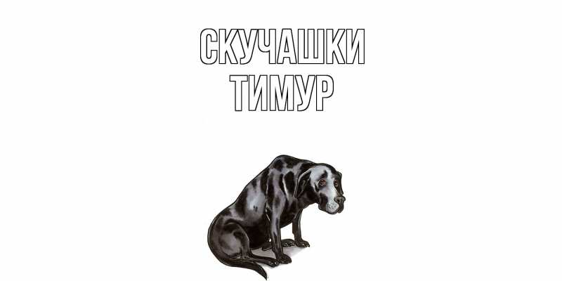 Открытка с именем, Тимур, Скучашки