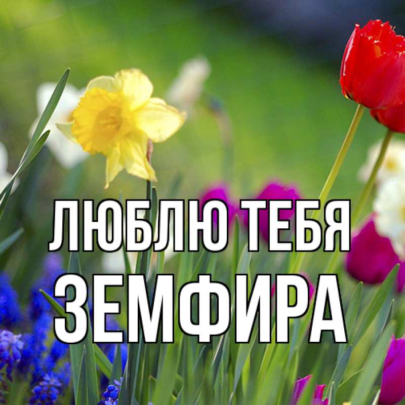 Картинка Люблю тебя, Земфира