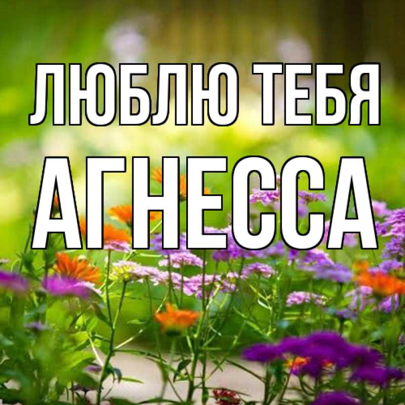 Картинка Люблю тебя, Агнесса