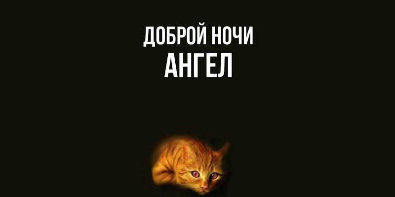 Картинка Доброй ночи, Ангел