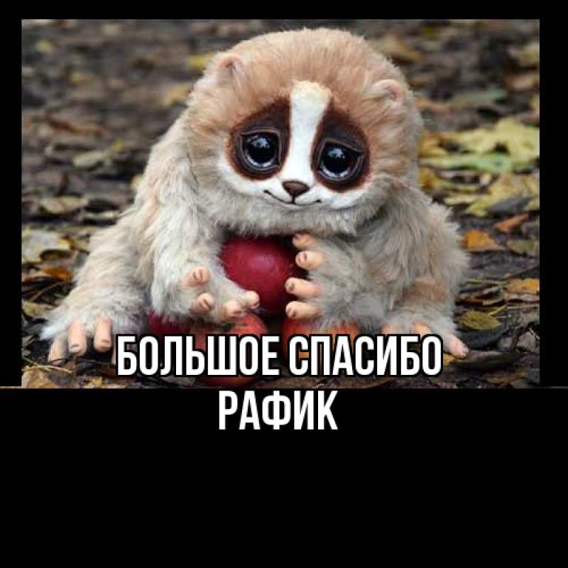 Картинка Большое спасибо, Рафик