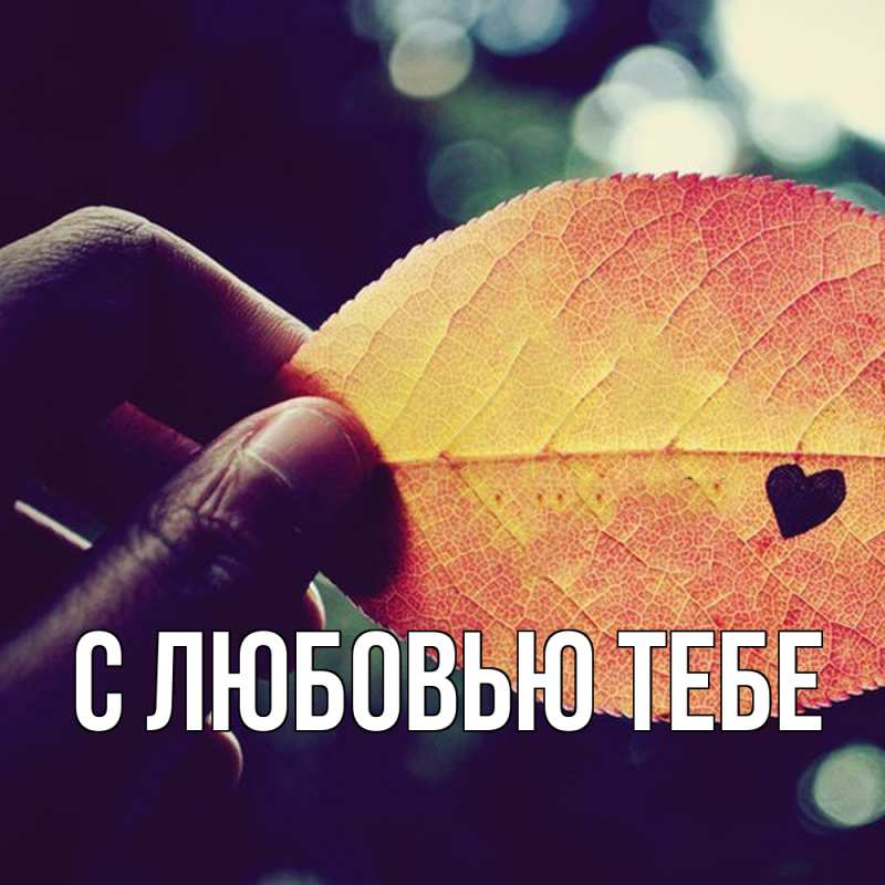 Картинка С любовью тебе, 