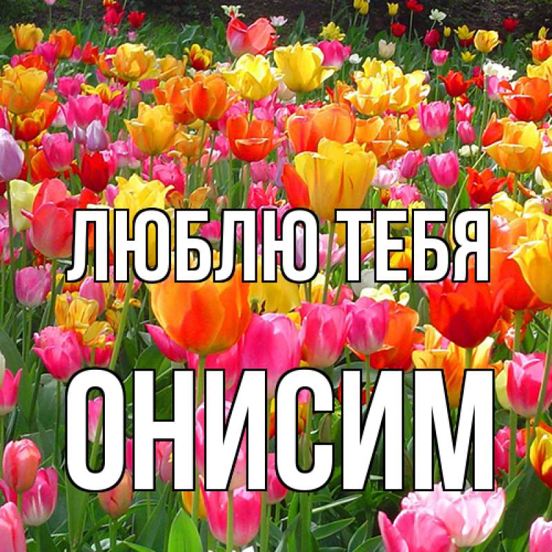 Картинка Люблю тебя, Онисим