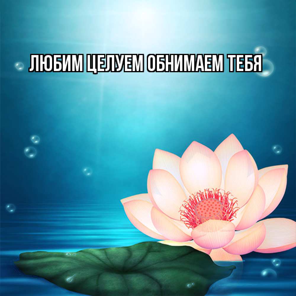 Открытка на каждый день с именем, Вероника От всей души тебе кувшинка Прикольная открытка с пожеланием онлайн скачать бесплатно 