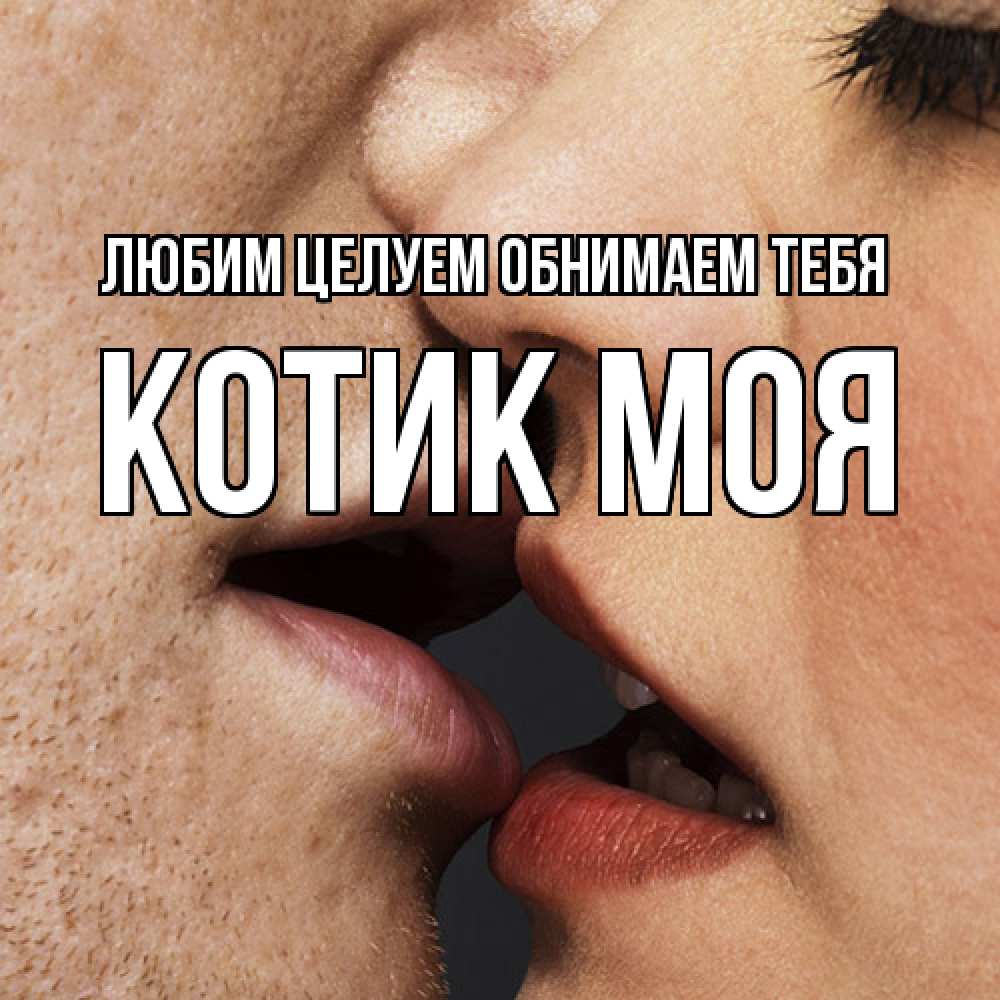 Открытка на каждый день с именем, Котик-моя Любим целуем обнимаем тебя поцелуй с подписью Прикольная открытка с пожеланием онлайн скачать бесплатно 