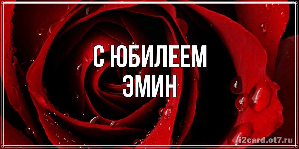 Открытка на каждый день с именем, Эмин C юбилеем крупная бордовая роза Прикольная открытка с пожеланием онлайн скачать бесплатно 