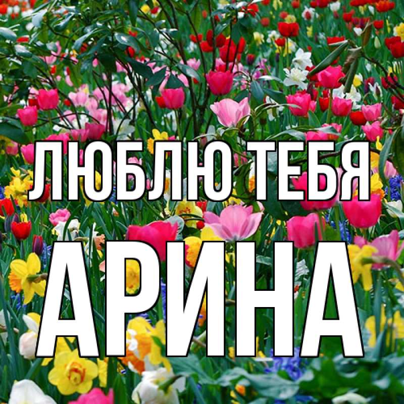 Картинка Люблю тебя, Арина