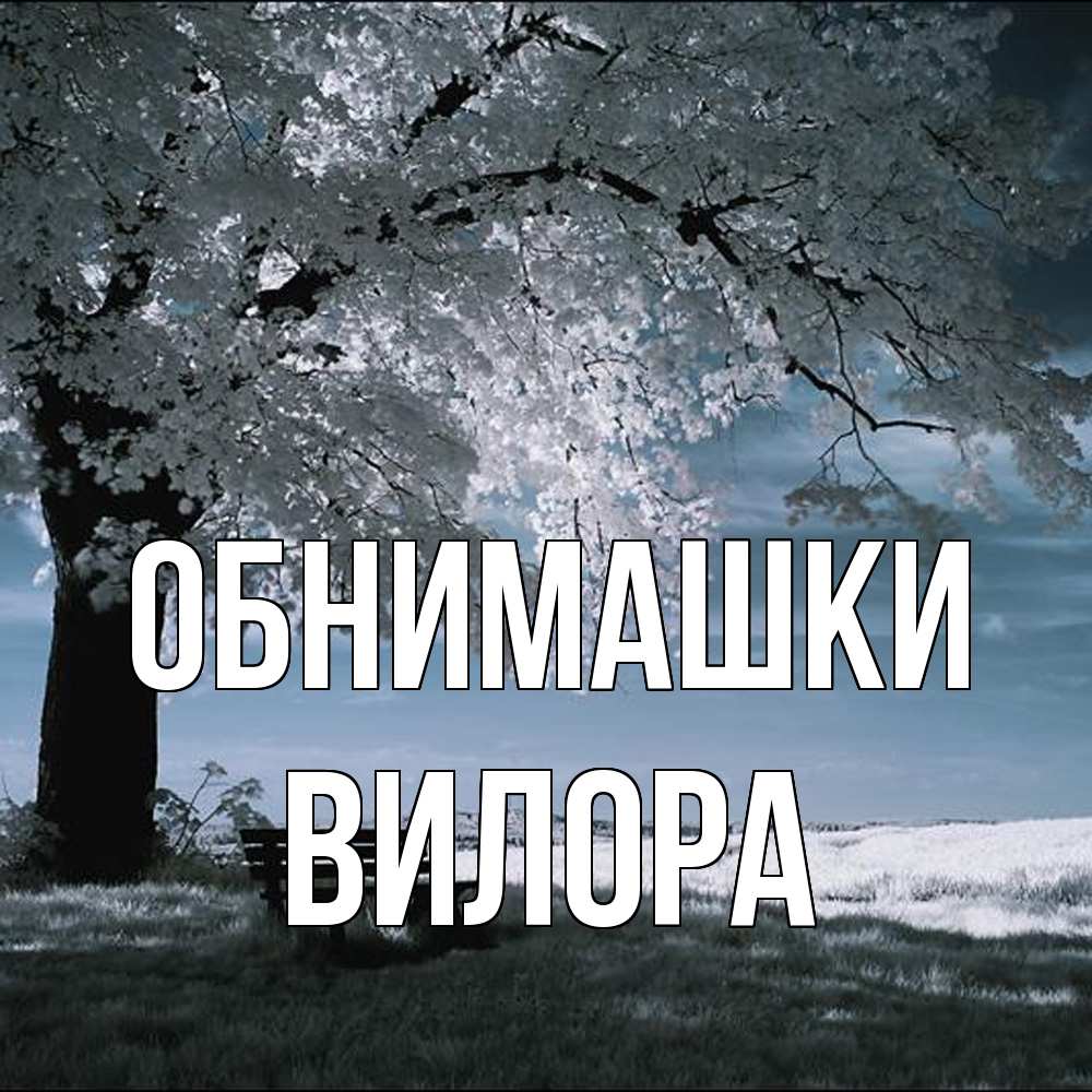 Открытка на каждый день с именем, Вилора Обнимашки дерево Прикольная открытка с пожеланием онлайн скачать бесплатно 