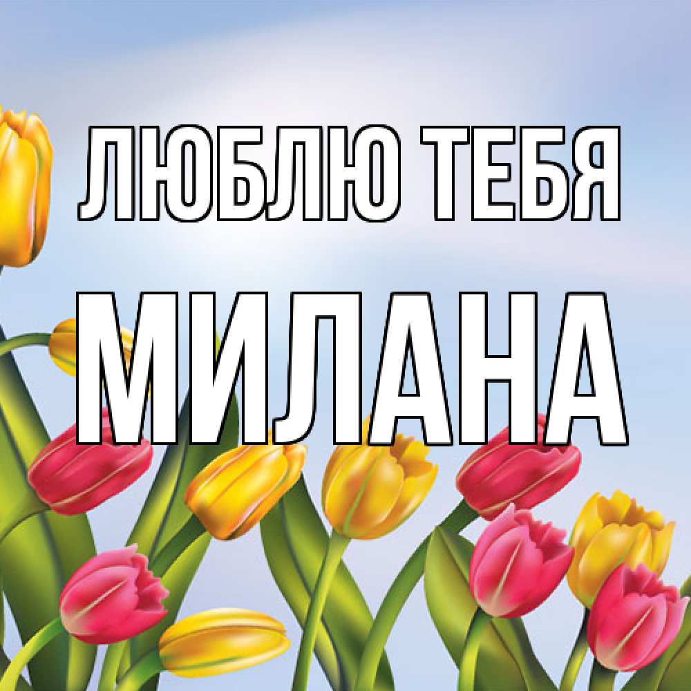 Открытка на каждый день с именем, Милана Люблю тебя международный женский день Прикольная открытка с пожеланием онлайн скачать бесплатно 