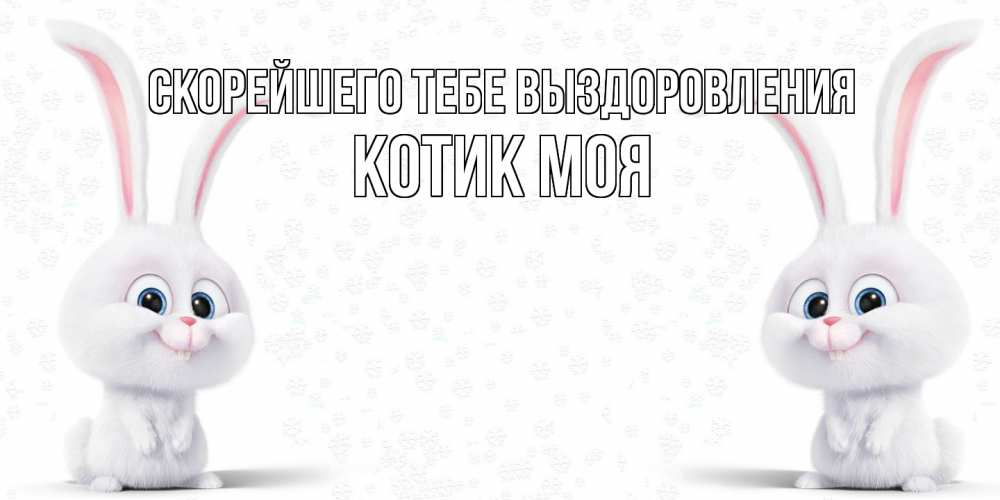 Открытка на каждый день с именем, Котик-моя Скорейшего тебе выздоровления не болей с зайцем Прикольная открытка с пожеланием онлайн скачать бесплатно 