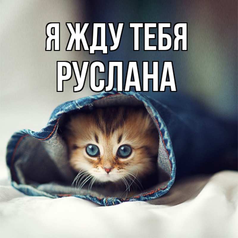 Картинка Я жду тебя, Руслана