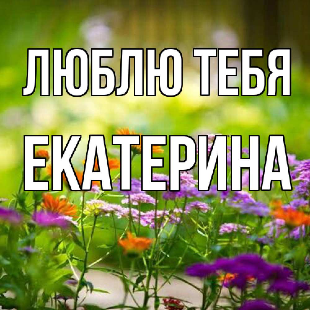 Открытка на каждый день с именем, Екатерина Люблю тебя цветы Прикольная открытка с пожеланием онлайн скачать бесплатно 