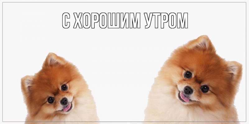 Картинка Как дела, Михаил