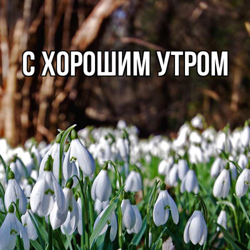 Картинка Люблю тебя, Таня