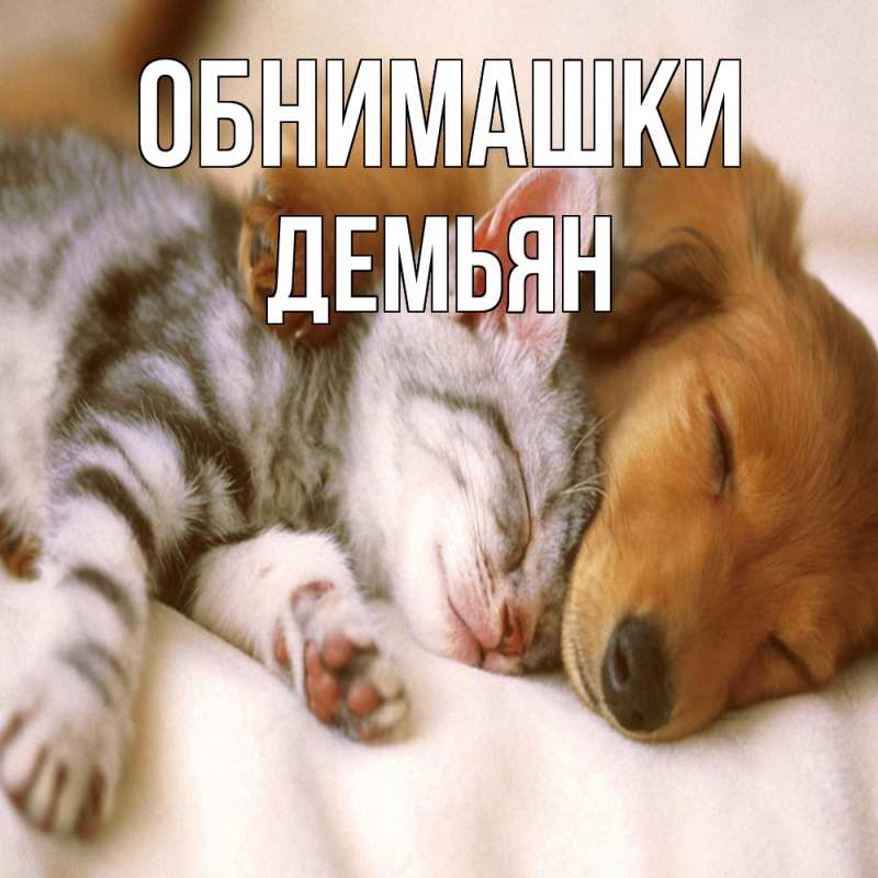 Открытка с именем, Демьян, Обнимашки