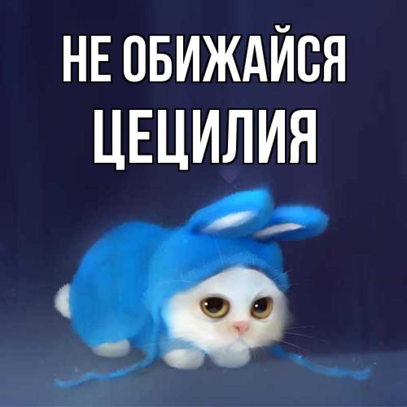 Картинка Не обижайся, Цецилия