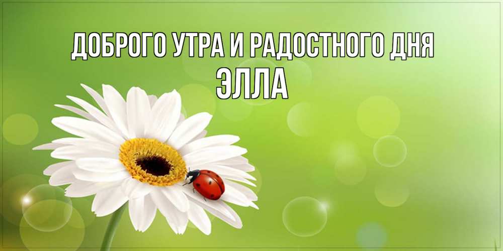Открытка на каждый день с именем, Элла Доброго утра и радостного дня зеленый фон и ромашка Прикольная открытка с пожеланием онлайн скачать бесплатно 