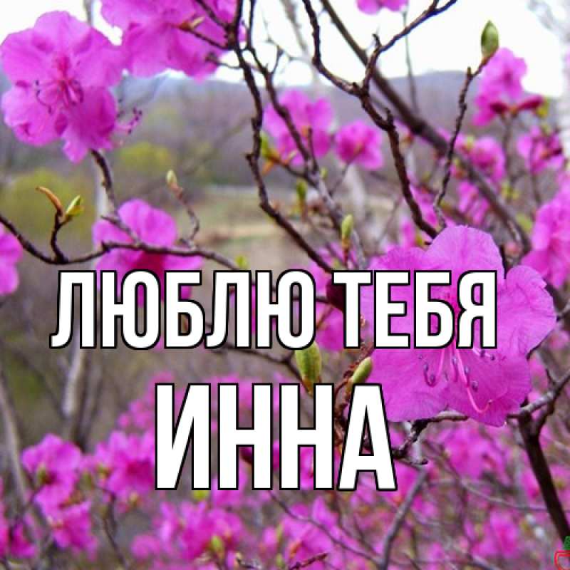 Картинка Люблю тебя, Инна