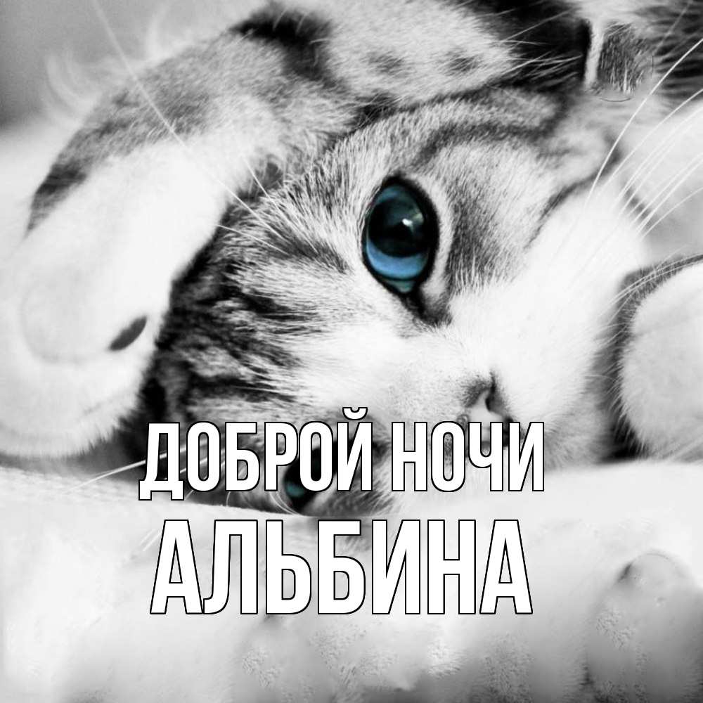 Открытка на каждый день с именем, Альбина Доброй ночи кот устал Прикольная открытка с пожеланием онлайн скачать бесплатно 