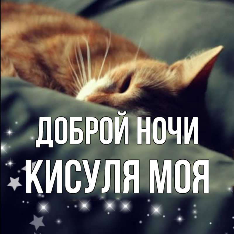 Картинка Доброй ночи, Кисуля моя