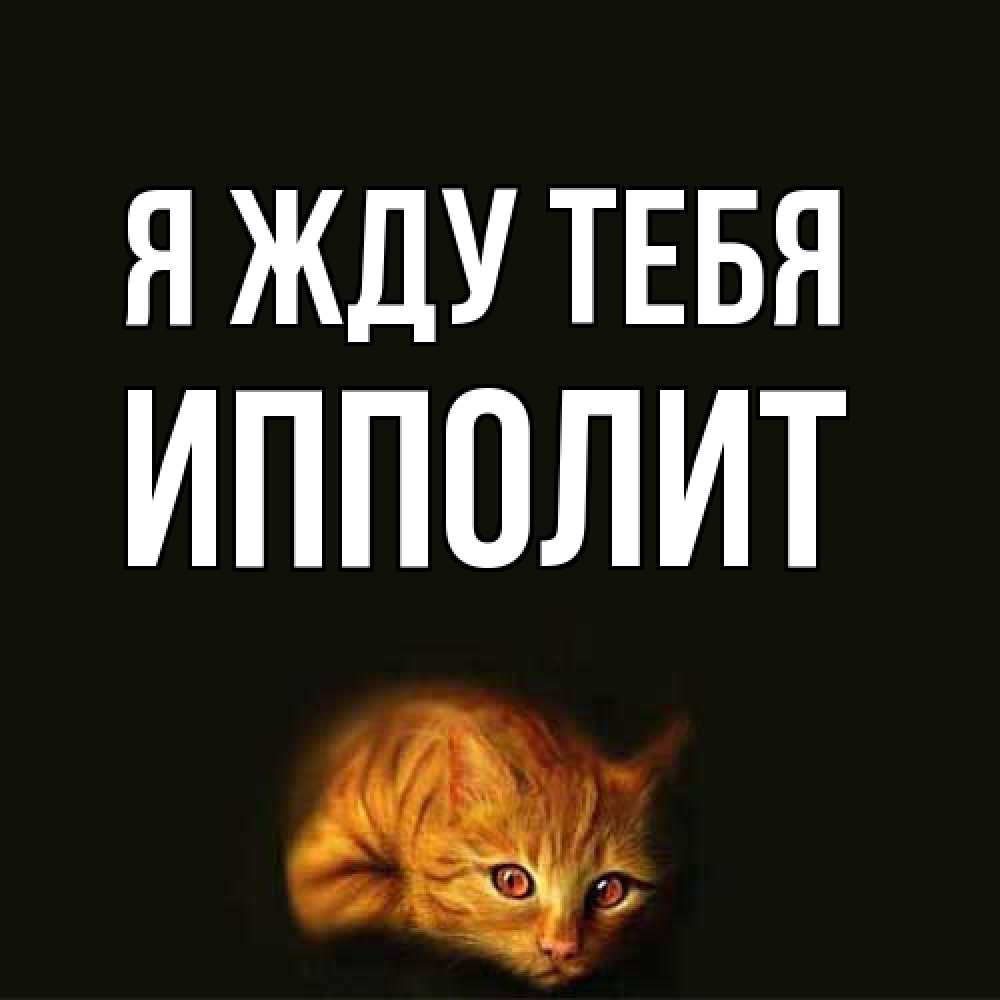 Открытка на каждый день с именем, Ипполит Я жду тебя рыжий Прикольная открытка с пожеланием онлайн скачать бесплатно 