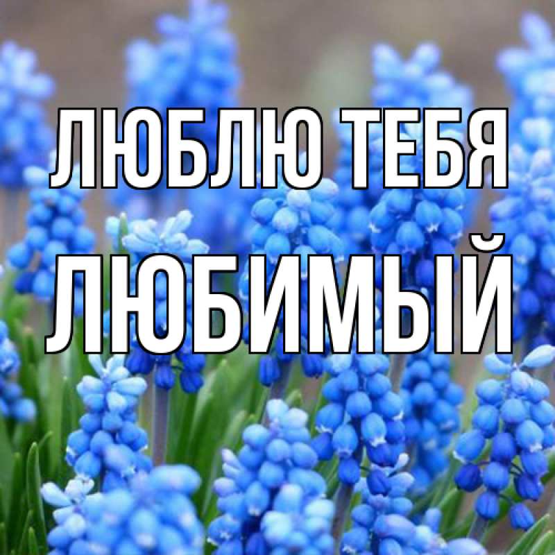 Открытка с именем, Любимый, Люблю тебя
