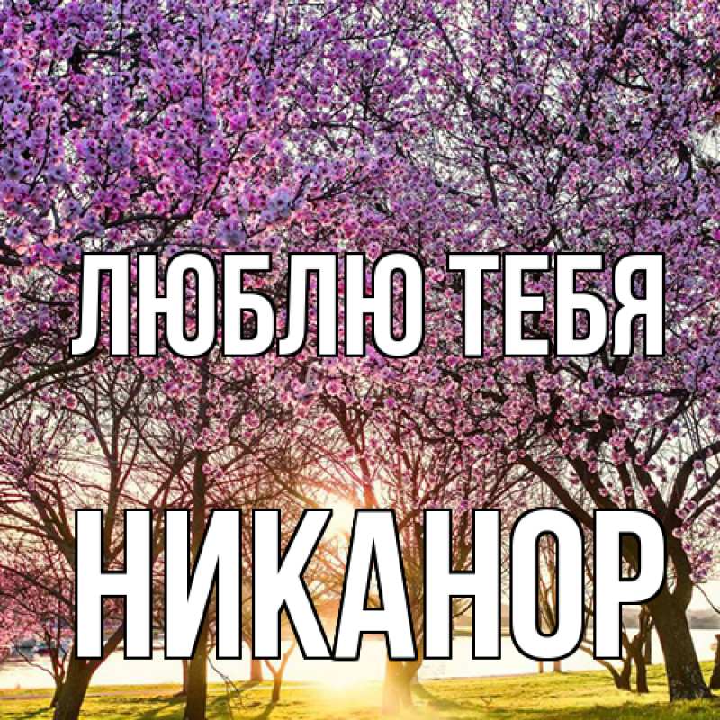 Картинка Люблю тебя, Никанор