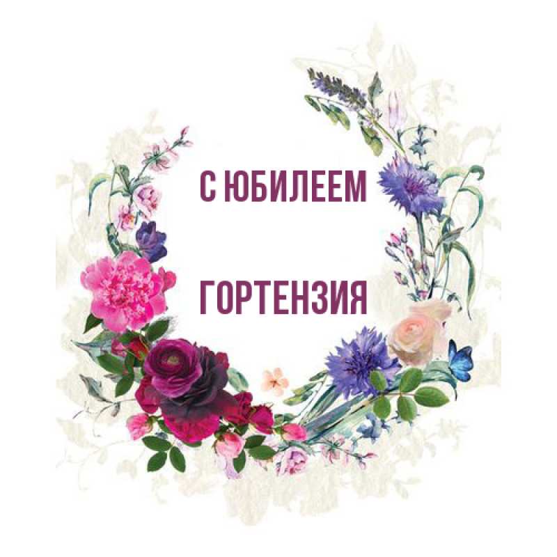 Картинка C юбилеем, Гортензия