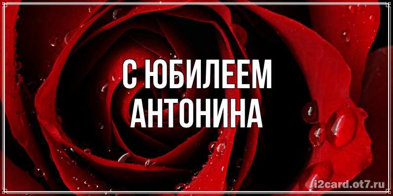 Картинка C юбилеем, Антонина
