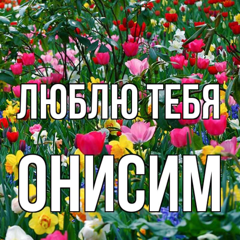 Картинка Люблю тебя, Онисим