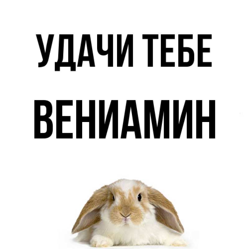Картинка Удачи тебе, Вениамин