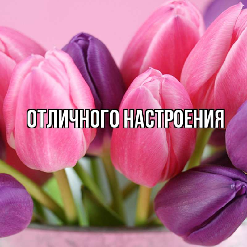 Картинка Люблю тебя, Екатерина