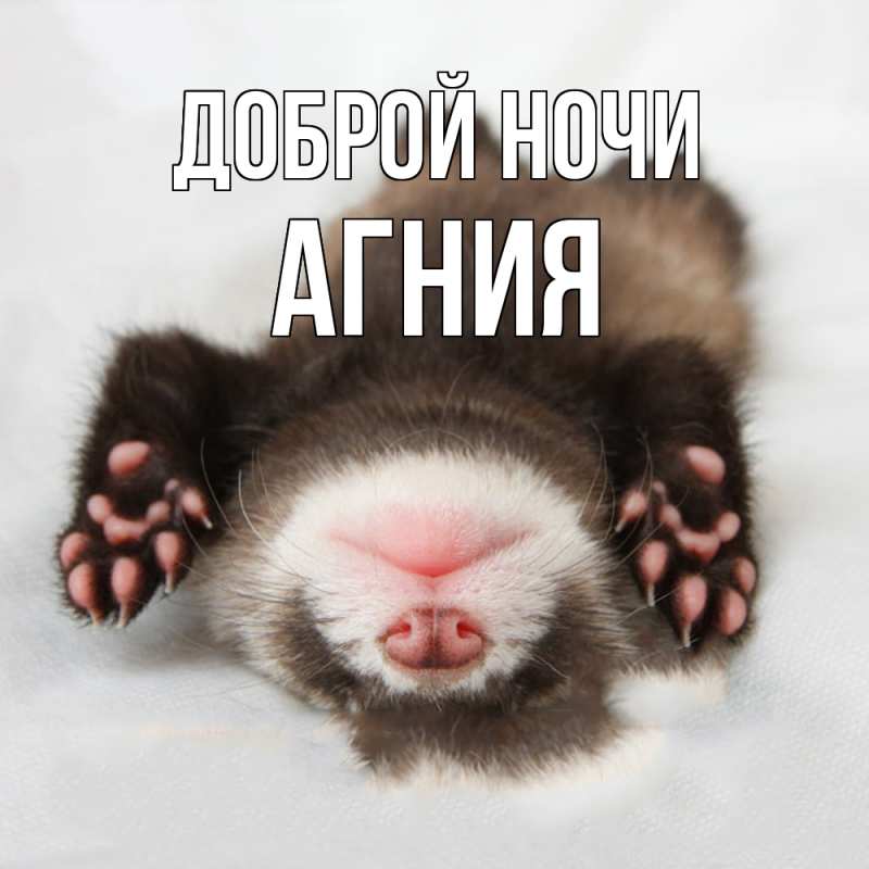 Картинка Доброй ночи, Агния