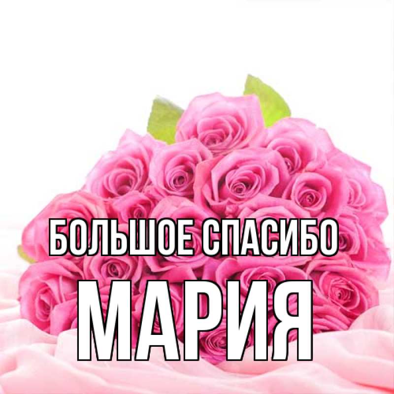 Картинка Большое спасибо, Мария